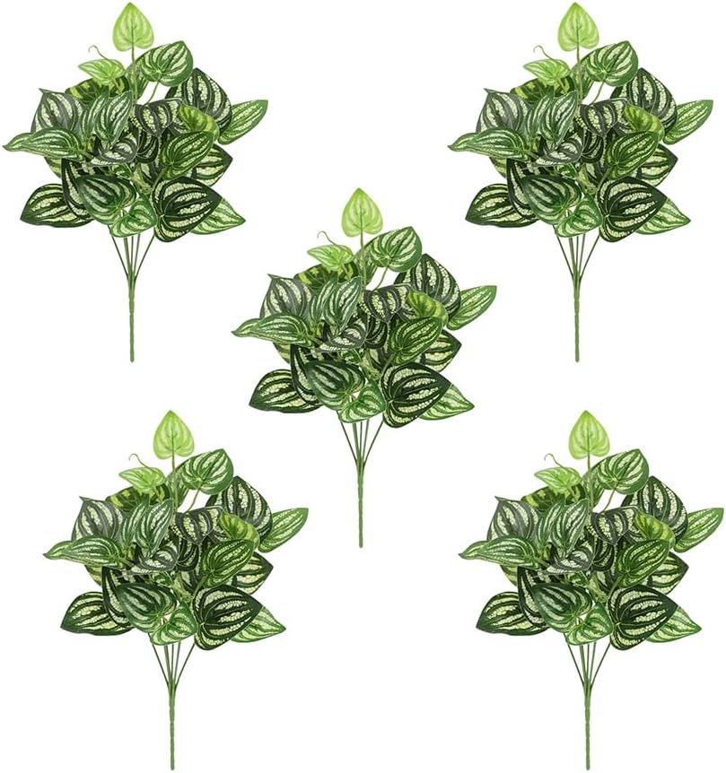 Peperomia Watermelon - 5 ชิ้นแตงโม Peperomia ประดิษฐ์ 12.9 