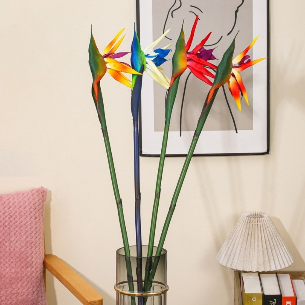 ดอกสเตรลิเซียเทียมก้านยาว ตกแต - Bird Paradise Strelitzia บทวิจารณ์และราคา
