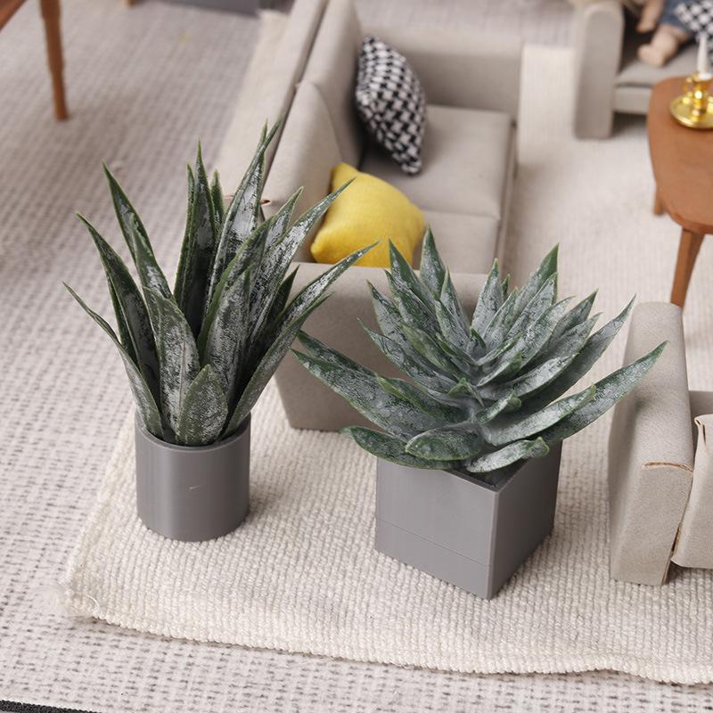 ต้นว่านหางจระเข้จิ๋วในกระถาง ข - Aloe Vera Pot บทวิจารณ์และราคา