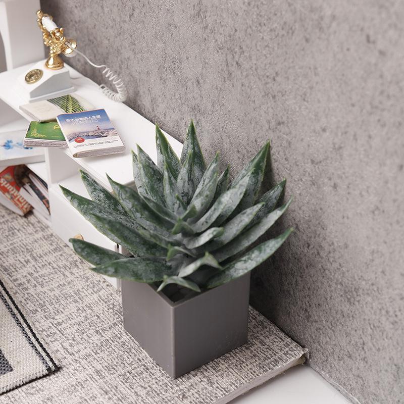 ต้นว่านหางจระเข้จิ๋วในกระถาง ข - Aloe Vera Pot บทวิจารณ์และราคา