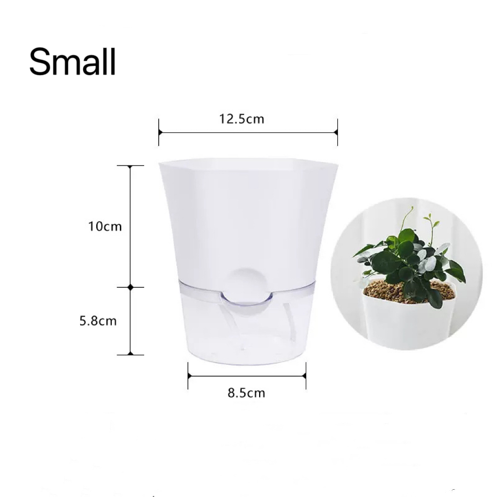 พลาสติกโปร่งใสรดน้ํากระถาง Laz - Aloe Vera Pot บทวิจารณ์และราคา
