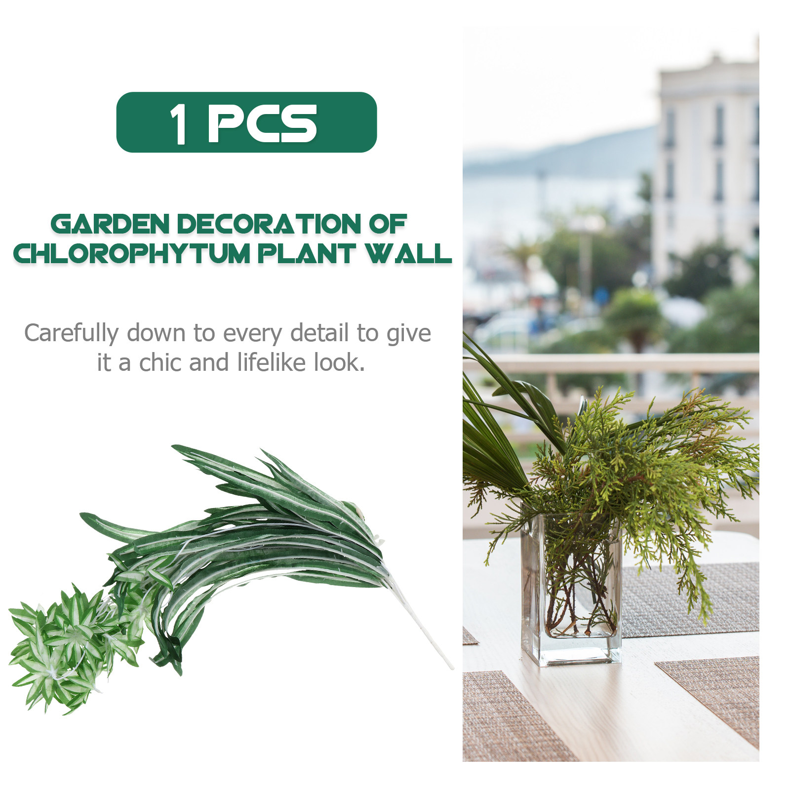 1 ชิ้น ต้นคลอโรฟิตัมเทียม ต้นไ - Spider Plant Hanging บทวิจารณ์และราคา