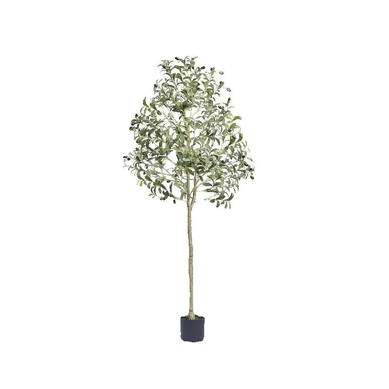 ต้นมะกอกเทียม SucceBuy สูง 4/5 - Ficus Lyrata Tree บทวิจารณ์และราคา