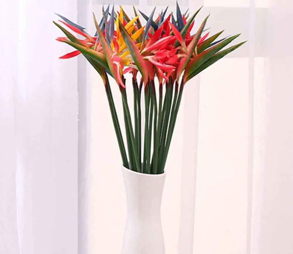 สรวงสวรรค์ของนกปลอมสรวงสวรรค์ข - Bird Paradise Strelitzia บทวิจารณ์และราคา