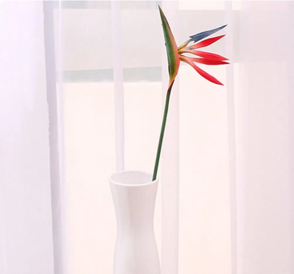 สรวงสวรรค์ของนกปลอมสรวงสวรรค์ข - Bird Paradise Strelitzia บทวิจารณ์และราคา