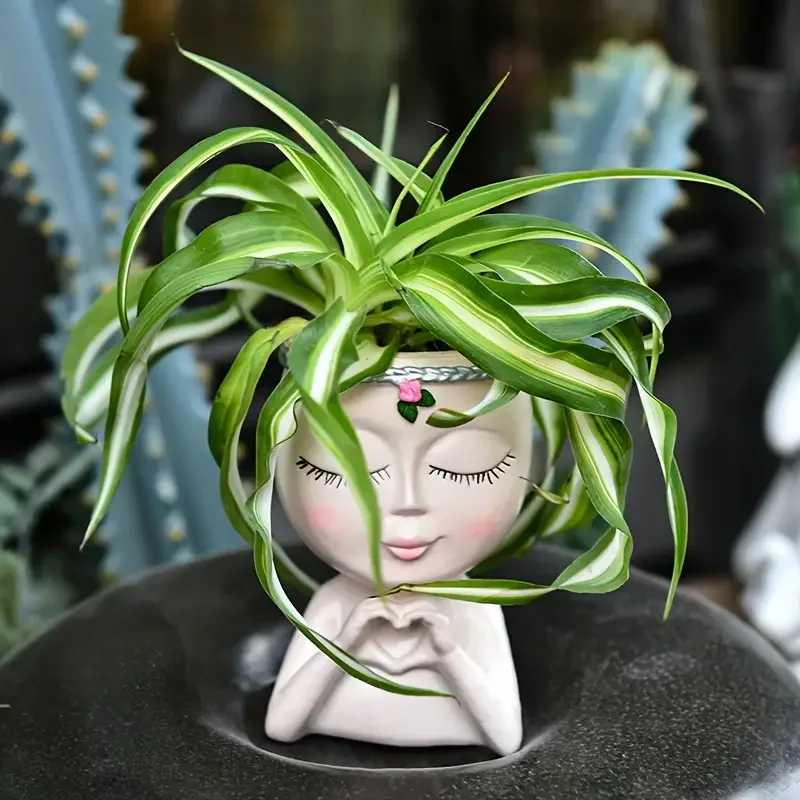 กระถางเรซิ่นรูปหัวผู้หญิงสำหรั - Echeveria Succulent บทวิจารณ์และราคา